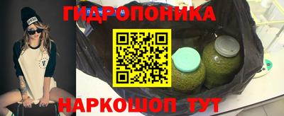 шишки Комсомольск-на-Амуре
