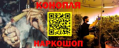 шишки Комсомольск-на-Амуре