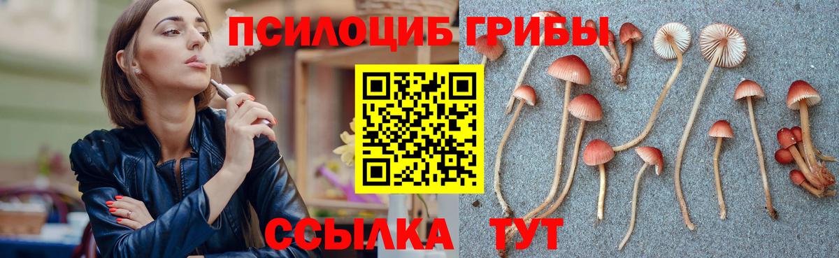 Галлюциногенные грибы Cubensis Вологда