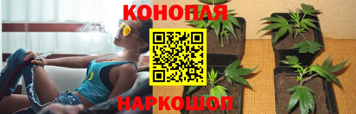 Бошки марихуана White Widow  Каннабис Amnesia  Вологда  МАРИХУАНА гибрид  Шишки марихуана план  Вход с VPN 